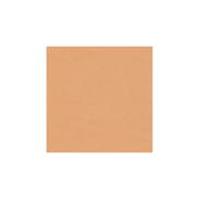 Brunschwig & Fils Satin La Tour Saumon Fabric