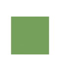 Brunschwig & Fils Satin La Tour Vert Y Fabric