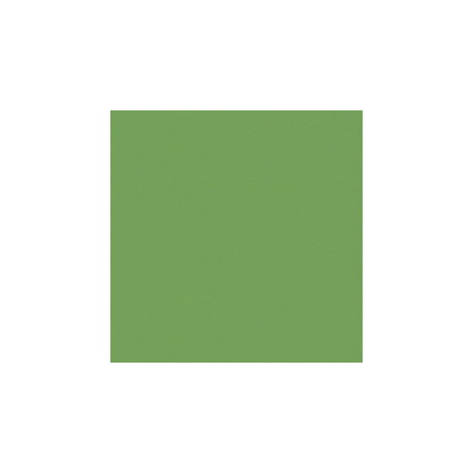 Brunschwig &amp; Fils Satin La Tour Vert Y Fabric