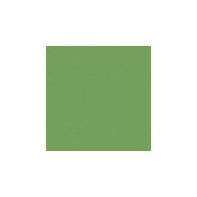 Brunschwig &amp; Fils Satin La Tour Vert Y Fabric