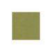 Brunschwig & Fils Ninon Taffetas Fern Fabric