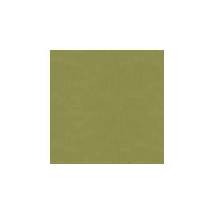 Brunschwig &amp; Fils Ninon Taffetas Fern Fabric