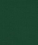 Brunschwig & Fils Ninon Taffetas Emerald Fabric