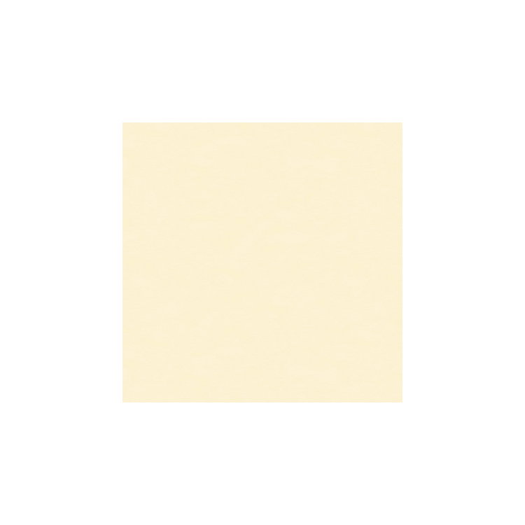 Brunschwig &amp; Fils Ninon Taffetas Blanc Fabric