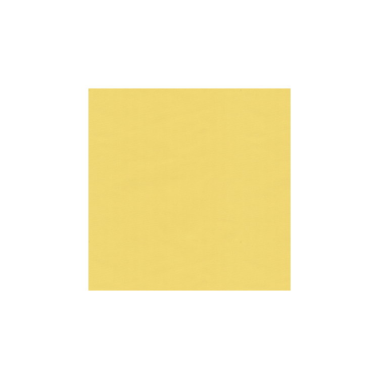 Brunschwig &amp; Fils Ninon Taffetas Jaune JJI Fabric