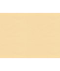 Brunschwig & Fils Ninon Taffetas Beige Fabric