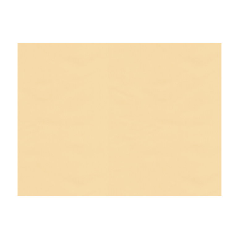 Brunschwig &amp; Fils Ninon Taffetas Beige Fabric