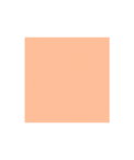 Brunschwig & Fils Ninon Taffetas Rose UUU Fabric