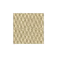 Brunschwig & Fils Yorke Chenille White with Beige Fabric