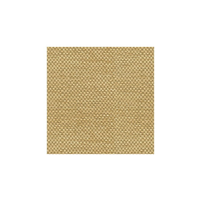 Brunschwig &amp; Fils Yorke Chenille Gold with Beige Fabric