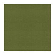 Brunschwig & Fils Bosporus Ottoman Texture Moss Fabric