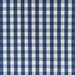 Brunschwig & Fils Carsten Check Navy Fabric