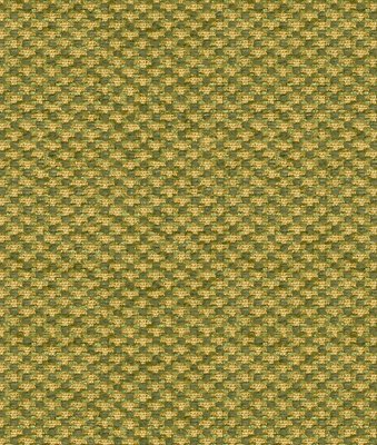 Brunschwig & Fils Spencer Silk Chenille Leaf Fabric