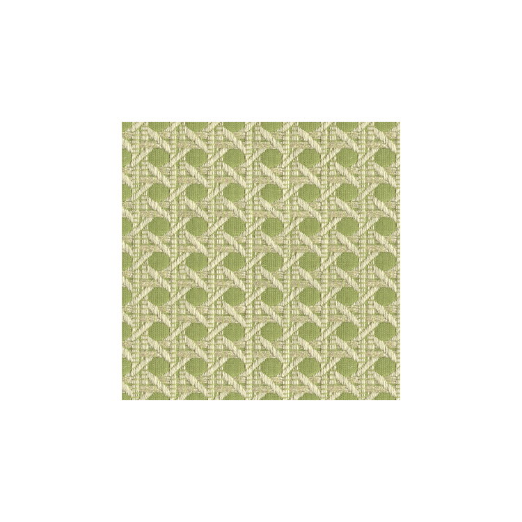 Brunschwig &amp; Fils Monterey Woven Texture Citron Green Fabric