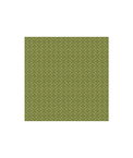 Brunschwig & Fils Creek Figured Woven Green Fabric