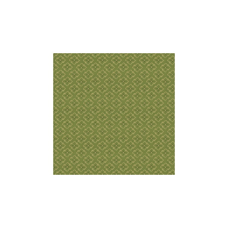 Brunschwig &amp; Fils Creek Figured Woven Green Fabric