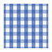 Brunschwig & Fils Exchequer Cotton Check Cornflower Fabric