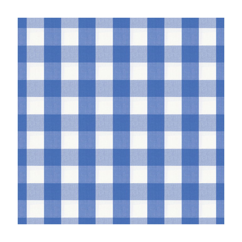 Brunschwig &amp; Fils Exchequer Cotton Check Cornflower Fabric