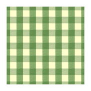 Brunschwig & Fils Exchequer Cotton Check Jade Fabric