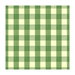 Brunschwig & Fils Exchequer Cotton Check Jade Fabric