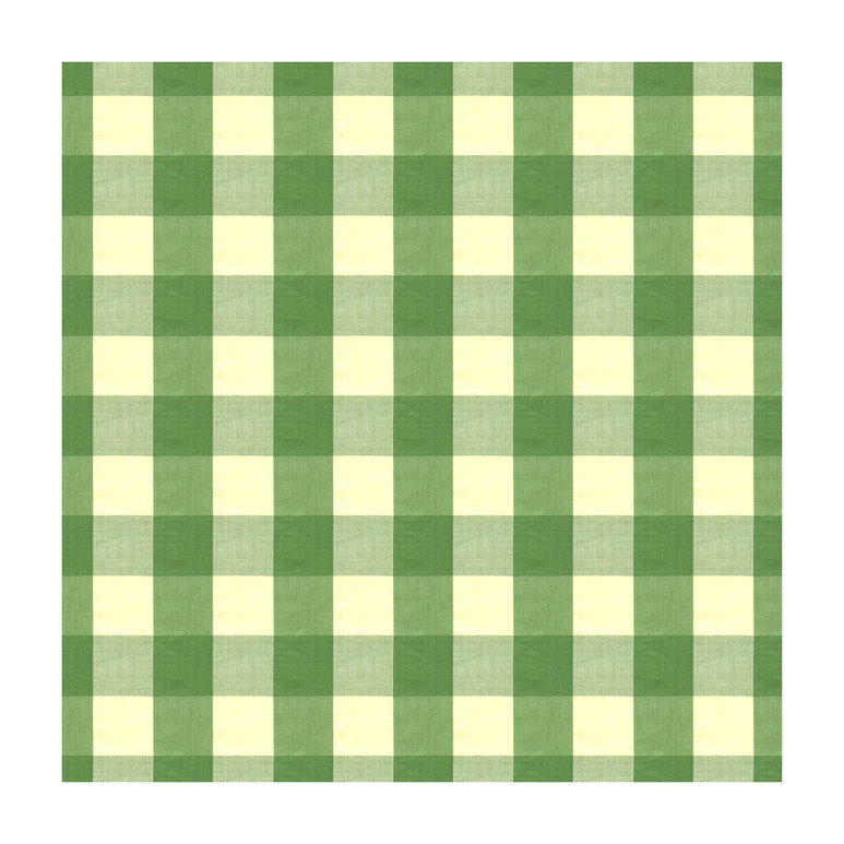 Brunschwig &amp; Fils Exchequer Cotton Check Jade Fabric