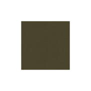 Brunschwig & Fils Fyvie Wool Satin Hazelnut Fabric