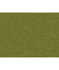 Brunschwig & Fils Thanon Linen Velvet Avocado Fabric