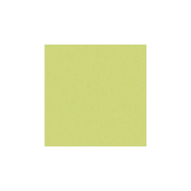 Brunschwig &amp; Fils Autun Mohair Velvet Celery Fabric
