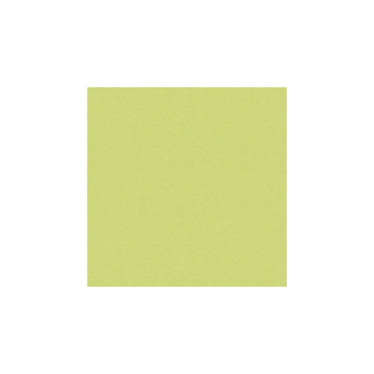 Brunschwig &amp; Fils Autun Mohair Velvet Celery Fabric