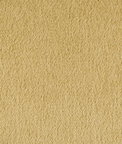 Brunschwig & Fils Autun Mohair Velvet Lichen Fabric