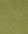 Brunschwig & Fils Autun Mohair Velvet Leaf Fabric