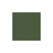 Brunschwig & Fils Autun Mohair Velvet Bayleaf Fabric