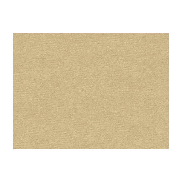 Brunschwig &amp; Fils Lubeck Cotton Velvet Oyster Fabric