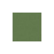 Brunschwig & Fils Lubeck Cotton Velvet Mint Fabric