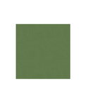 Brunschwig & Fils Lubeck Cotton Velvet Mint Fabric