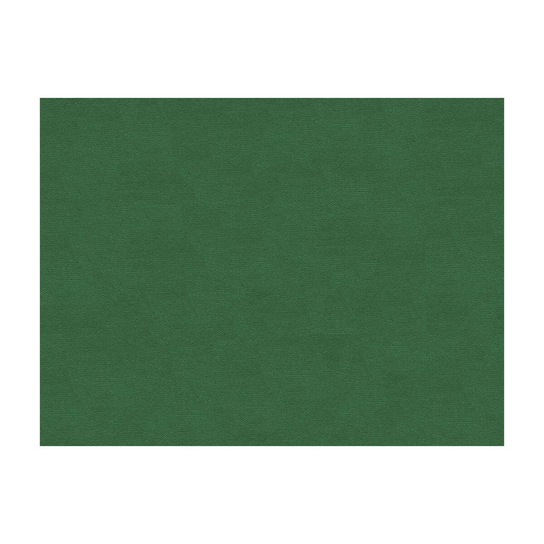 Brunschwig &amp; Fils Lubeck Cotton Velvet Ivy Fabric