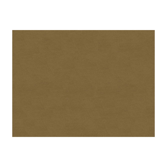 Brunschwig &amp; Fils Lubeck Cotton Velvet Fawn Fabric