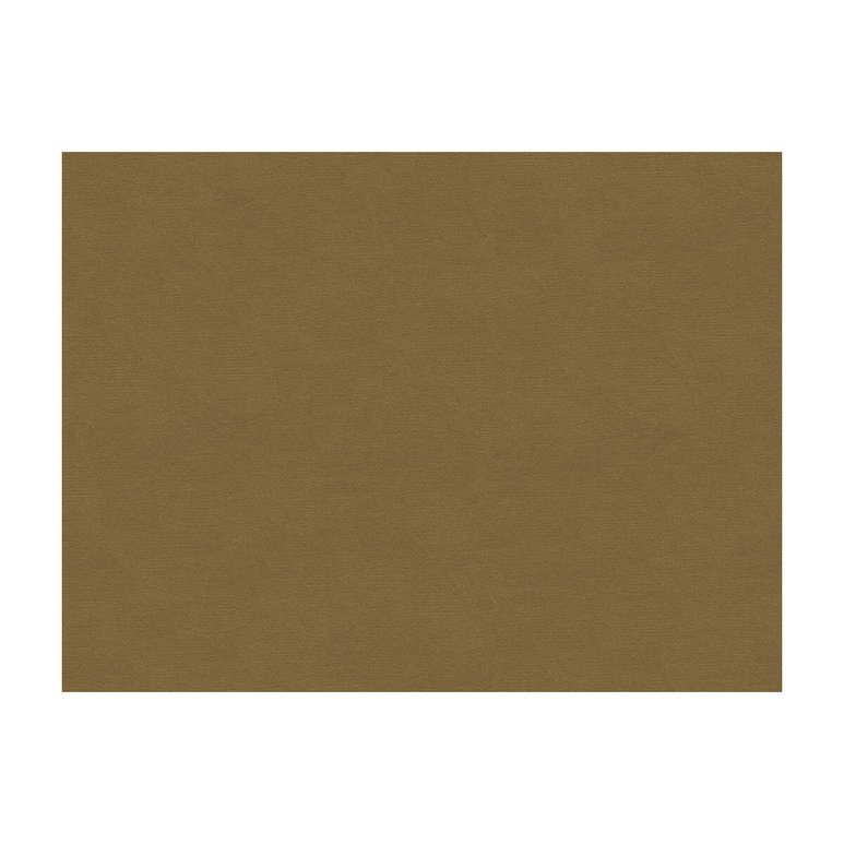 Brunschwig &amp; Fils Lubeck Cotton Velvet Fawn Fabric