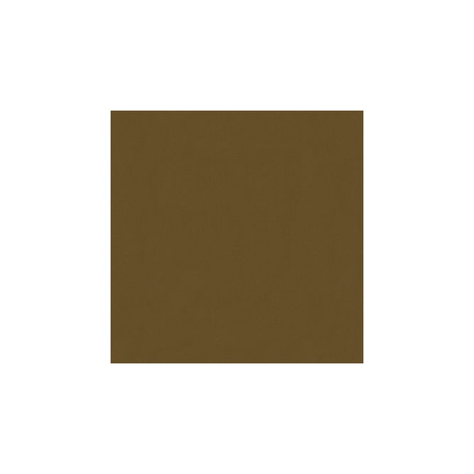 Brunschwig &amp; Fils Lubeck Cotton Velvet Hazelnut Fabric