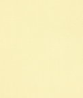 45" Butter Yellow Broadcloth Fabric