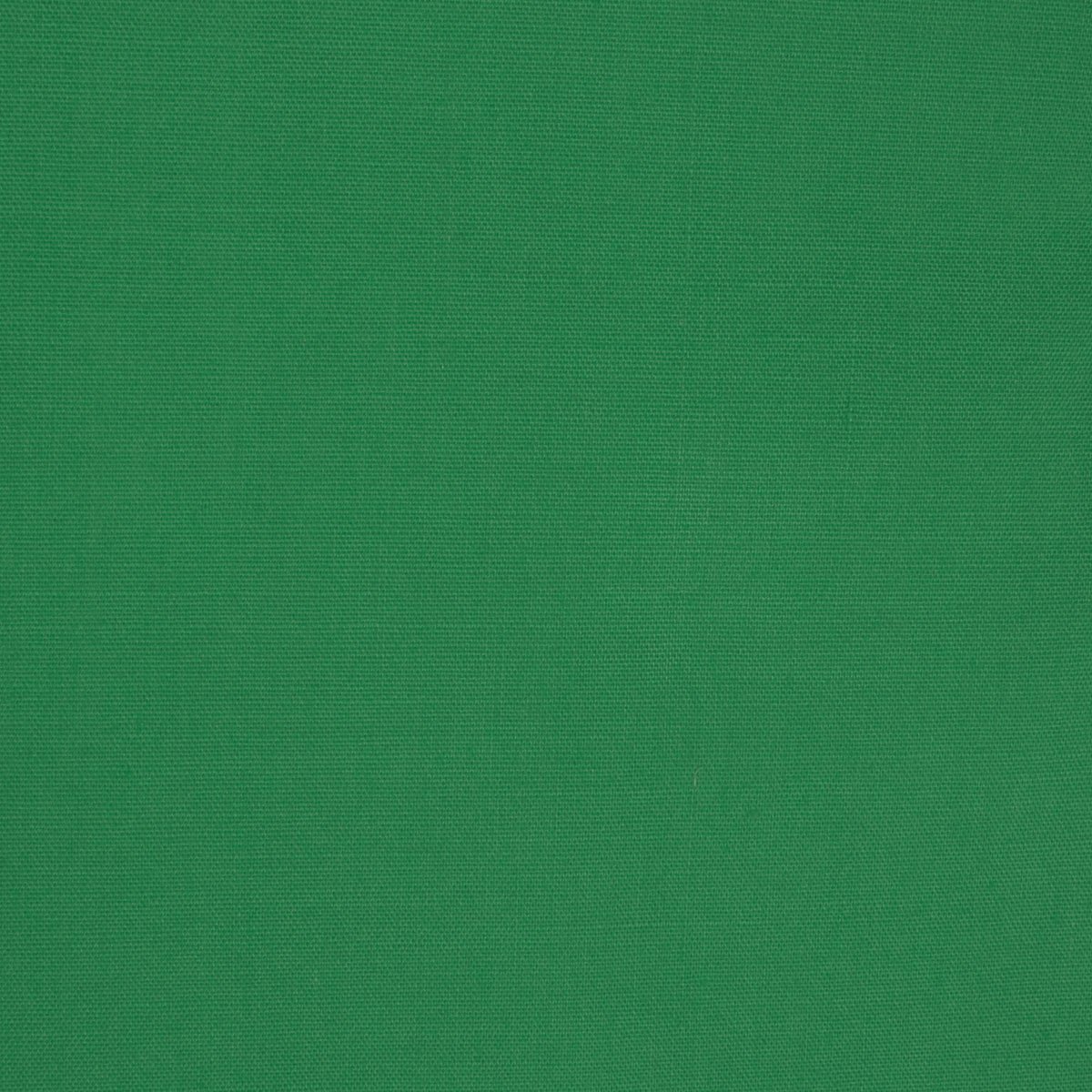 Everything about the color Kelly Green