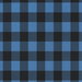 Premier Prints Buffalo Check Chill Black Fabric