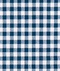 Premier Prints Buffalo Plaid Italian Denim Slub Canvas Fabric