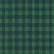 Premier Prints Buffalo Plaid Mountain Green/Deep Navy Canvas Fabric