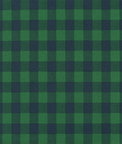 Premier Prints Buffalo Plaid Mountain Green/Deep Navy Canvas Fabric