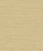 Seabrook Designs Grasslands Sandy Shores Wallpaper