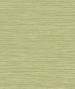 Seabrook Designs Grasslands Lime Moss Wallpaper