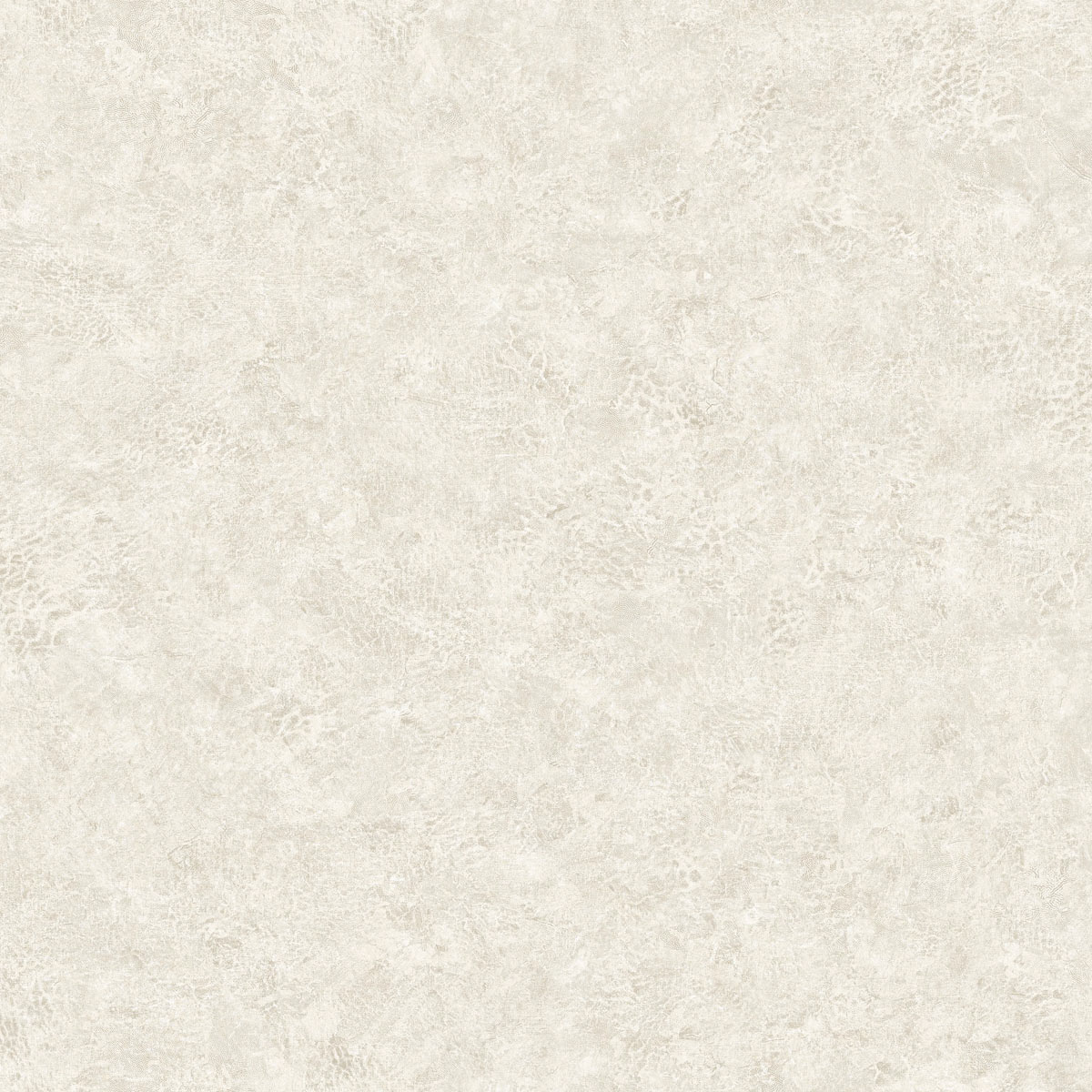 Stunning Where Can I Buy Black Salt Design for Mobile Stunning Where Can I Buy Black Salt Design for Mobile