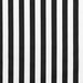 Premier Prints Canopy Black Canvas Fabric