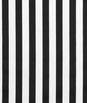 Premier Prints Canopy Black Canvas Fabric